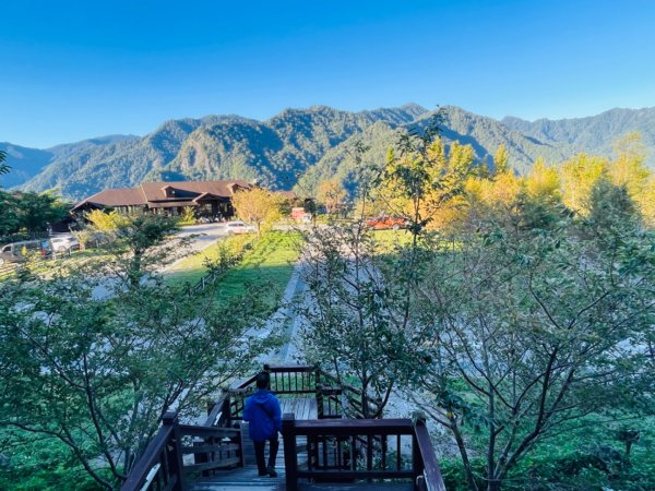 1140825司馬庫斯新巨木園區-司立富瀑布-部落觀景台2871141