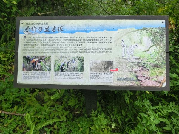 鳩之澤自然步道380126