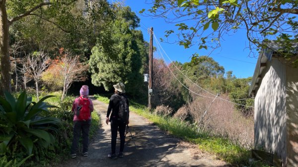 十份棟古道出雲端2688947