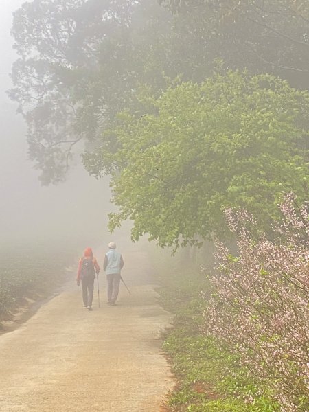 三義銅鑼基石巡禮—大椼茂.大坑尾.竹圍.長潭坑.田洋.圓潭.虎頭崁.簡窩筧.大薰山 2024.3.72447827