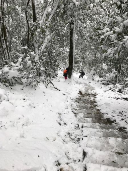 201802 東眼山追雪記自導式步道294083