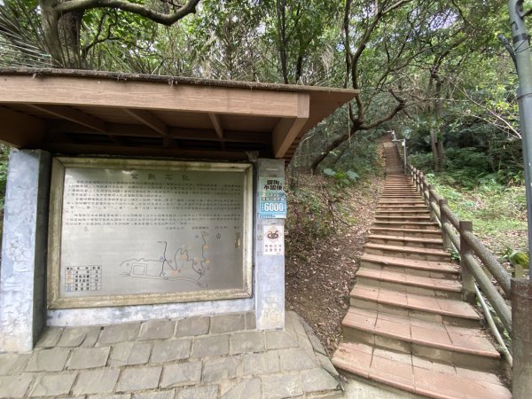 2024/01/16 鶯歌 大棟山 青龍嶺 新北市忠靈祠2429468