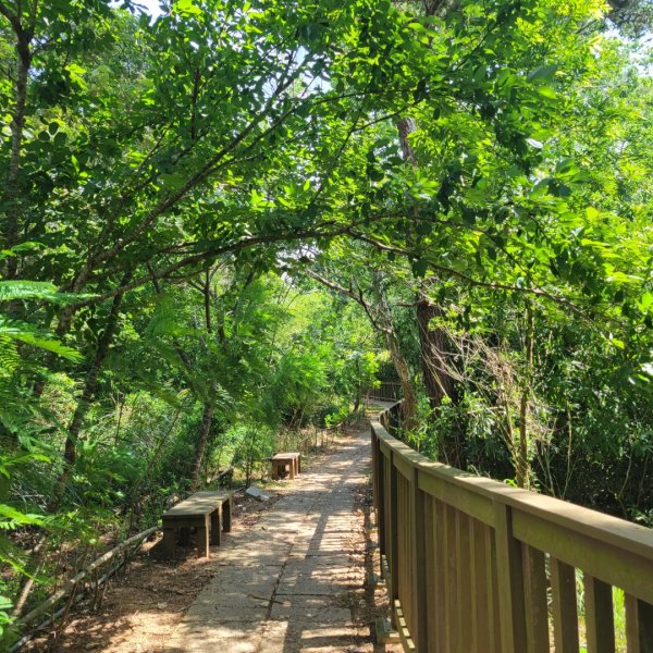 老崎古道（頭份後花園）1764980