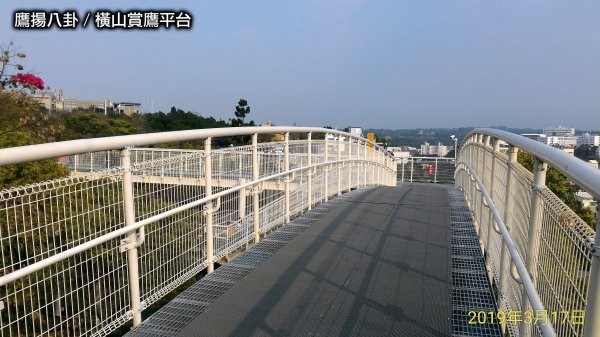 八卦山天空步道&橫山賞鷹平台546550