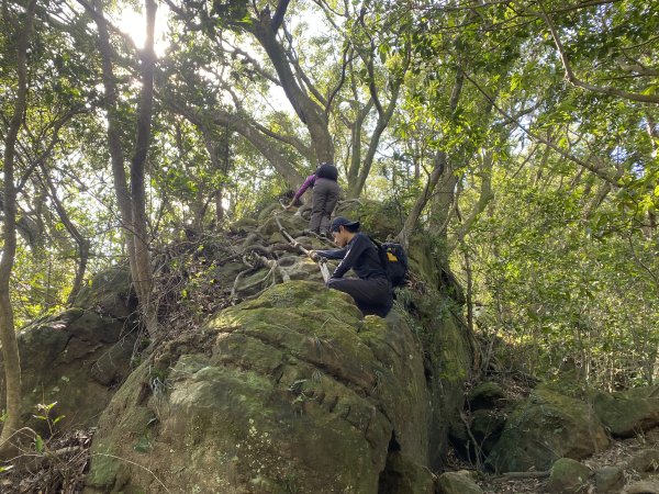 2025微笑山線大縱走尋寶集章任務-Ep.04【天上山系】望月亭桐花段｜石門內尖山東峰 ×石門內尖山2979158