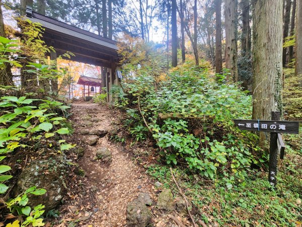 20251125登月居山遊袋田瀑布順遊舊上岡小學校2958375