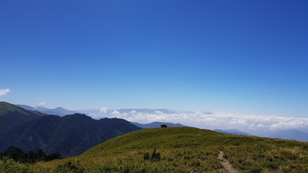 合歡西峰步道420236