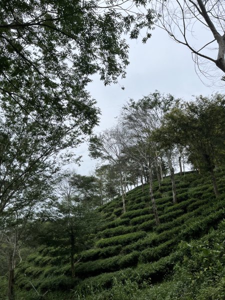 梅峰_竹子尖山2551149