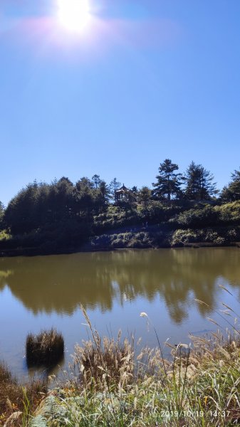 大雪山神木&天池715433