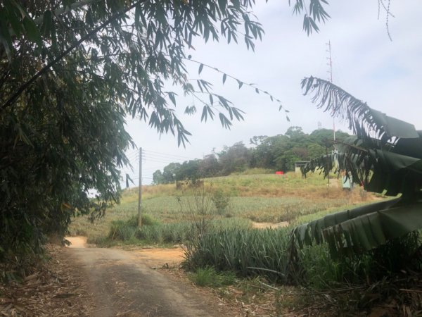 嘉義民雄松子腳山一等點 南松子腳山三等點1216161