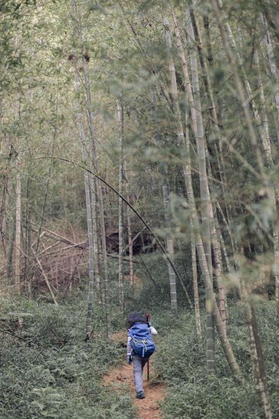 鳥嘴含煙-桃園大溪金面山1463096