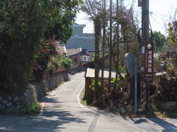 南投草尾嶺步道(賞血藤花)3031412