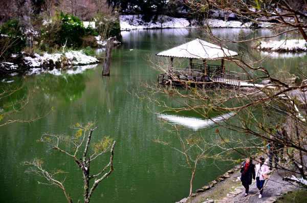 冬雪北橫明池湖泊之美30147