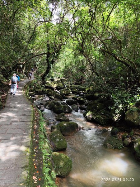 大湖公園→大溝溪生態治水園區→圓覺寺步道→圓覺瀑布→圓覺寺→鯉魚山步道【臺北大縱走 4、臺北健走趣】2849091