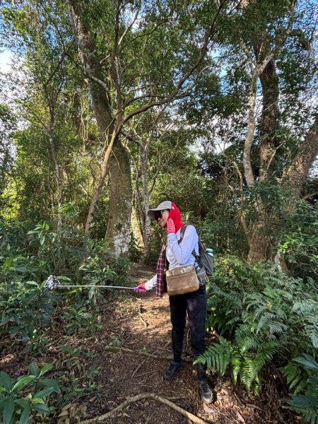 20251229石龜坑山上白石山下白石埤O走+阿姆坪2976750