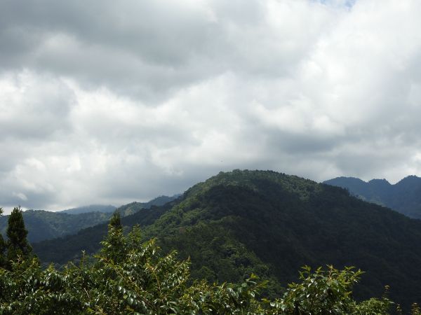 20180609望美山-瓊山(獵人古道)348754