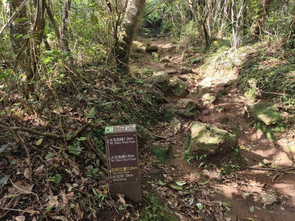 [百山百鳥尋旅-11/15] 2025_0927 大屯主峰-連峰步道_大屯山南峰2899358