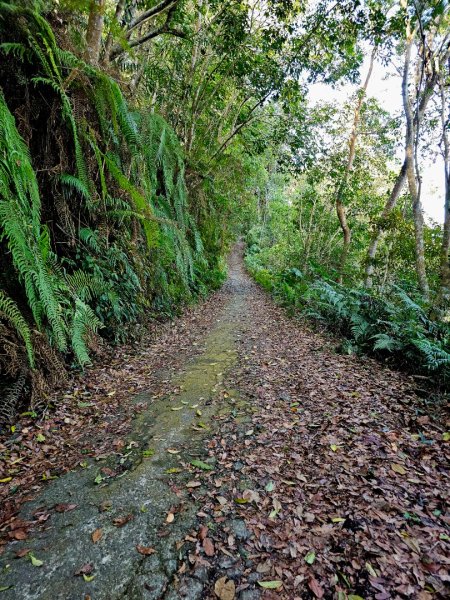 白毛山-谷關七雄(老六)3015202