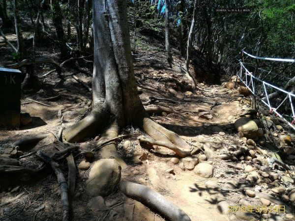 火炎山步道294934