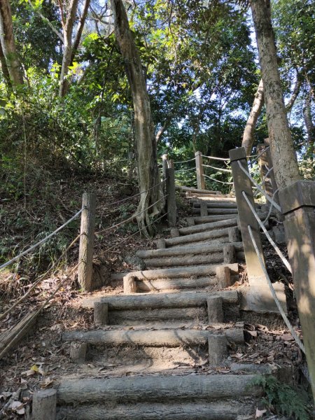 2023.11.15 新田登山步道登聚興山2494837