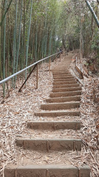 《台中》三崁頂健康步道(北坑123步道)202103061297678