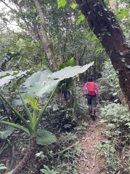 雪山尾稜北段2728626