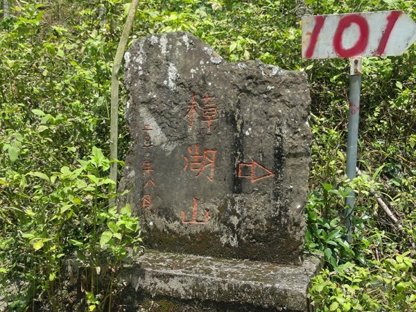 華山4-2號步道上雲嘉連峰2579356