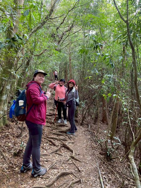 🌈1/18（日）忘憂森林×金柑樹山×溪頭天文台✨FB：熊熊趴爬走🌈2983951