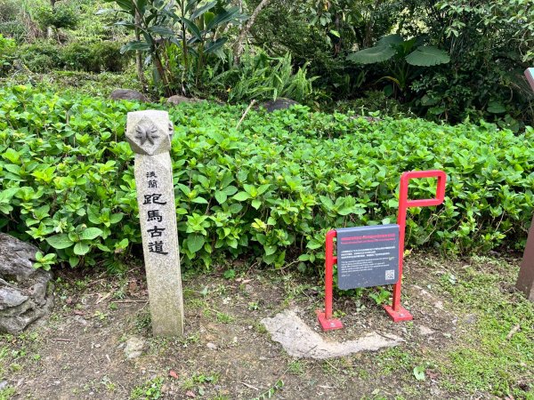 20250427_跑馬古道2855834