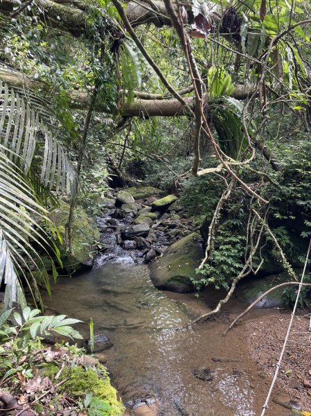 鱷魚頭景觀步道2729217