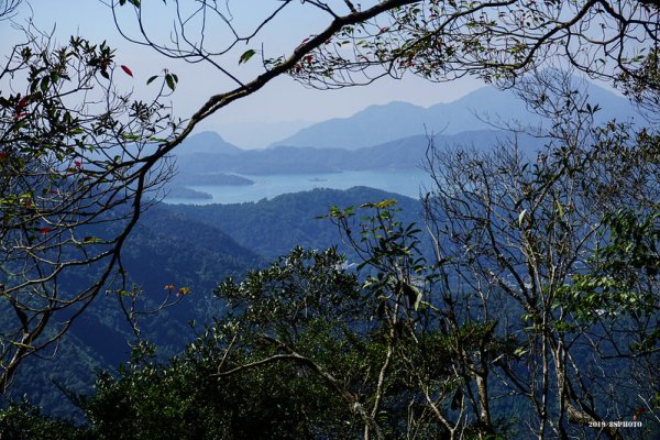 【南投】過坑山南峰、過坑山