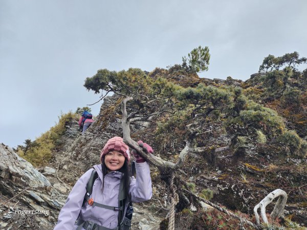 隆冬遊南橫，酷寒闖雙星(關山嶺山、塔關山)2707225