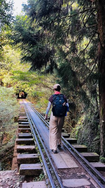 🌈10/11（日）消失的阿里山森林鐵路FB：熊熊趴爬走(富裕登山社)🌈3134746