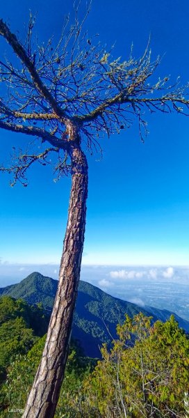 111.12.10 鳶嘴山-稍來山 A進B出1946814