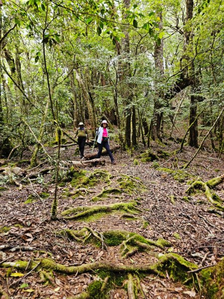 卡拉寶山-小百岳#86-花蓮縣秀林鄉2796162