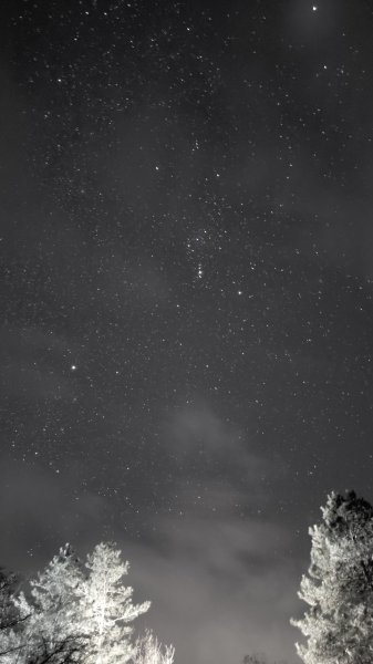 20250228 桃山+池有山2919200