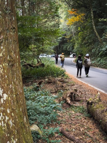 鳶嘴山上的瘦稜2983899