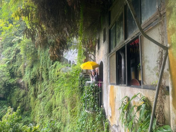 微笑山⛰️線-大棟-二格山-五分山-天上山-鳶山💎12條步道完成💙2834141