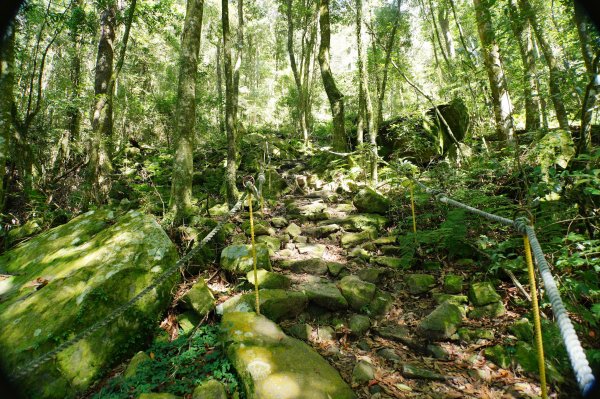 台中 和平 鳶嘴山2926907