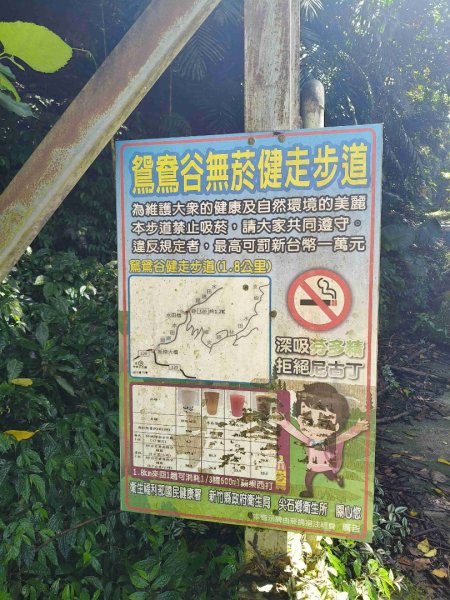 外鳥嘴蓮包山O縱2893165
