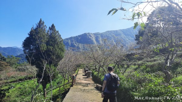 《南投》清新小旅｜鳳凰自然教育園區步道及小半天202311052337003