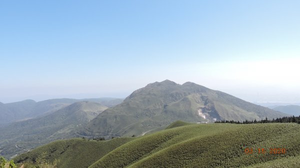 晴朗涼爽舒適/車道像停車場/步道人龍879708