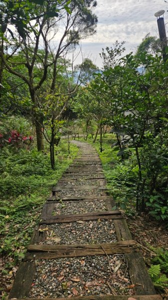 20250302玉田古道-瑪鋉三山出武聖街2725250