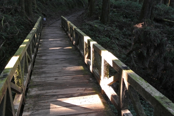 特富野古道+梯子板山25554