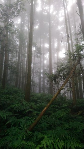 三角湖山、向天湖山縱走1717694