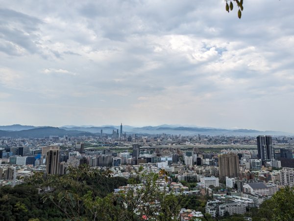 2024-03-31 金面山親山步道、剪刀石、象山親山步道2793316