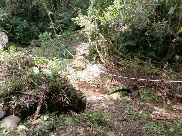 雙溪區崩山坑古道+下坑山稜線越嶺路+下坑山O型2839801