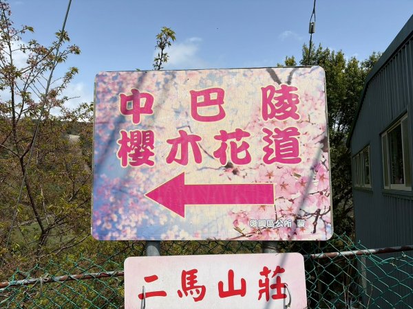 桃園 復興 中巴陵 櫻木花道3011970