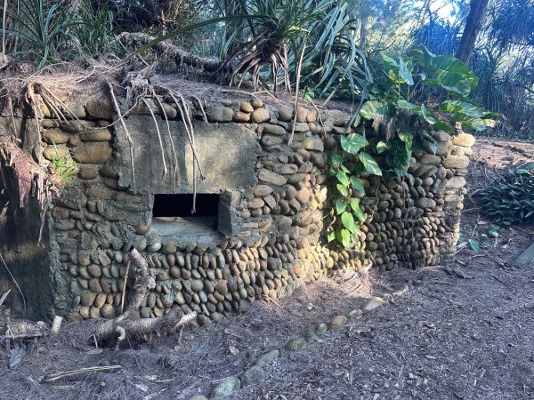 永安漁港、新屋海濱植物園2657314