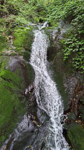 楊廷理古道2814586